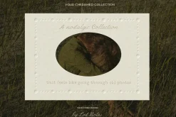 Handwritten Ink Pencil Texture Fonts
