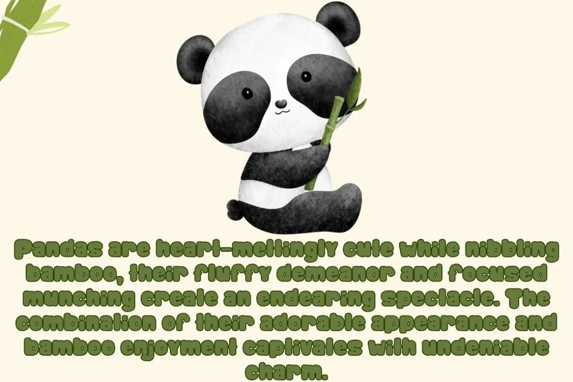 Happy Bamboo - Handwritting