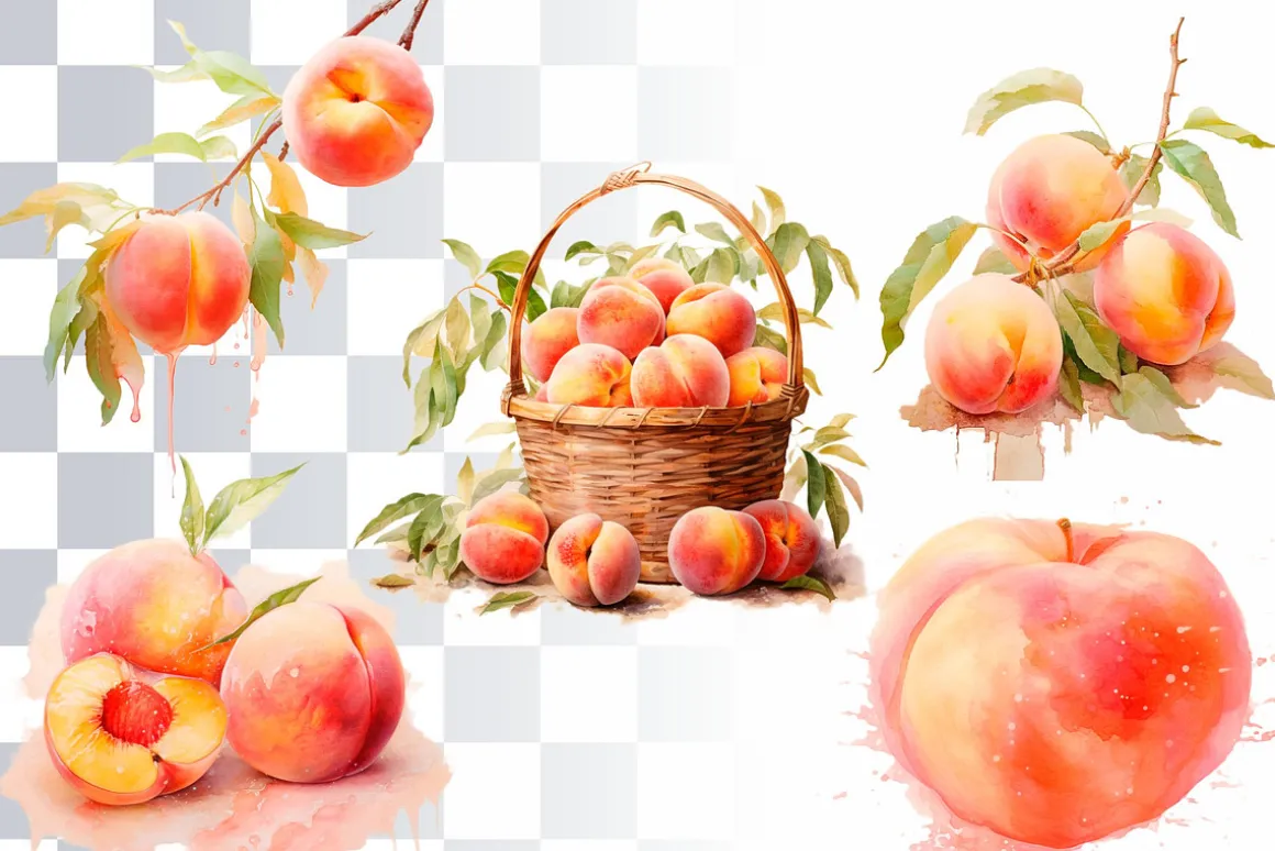 Happy Peaches Watercolor Clipart