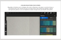 Hayami Gyoshu Procreate Kit