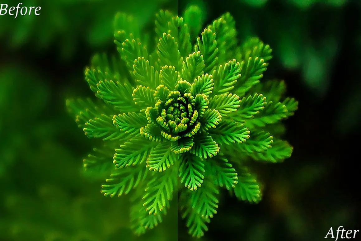 20 HDR Lr Presets