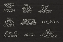 Hearts Entangled Display Typeface