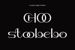 Hechowa - Elegant Fashion Font
