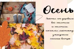 Hello Autumn/Latin & Cyrillic/ Sale