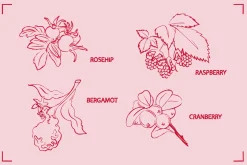 HERBAL TEA (30+ ILLUSTRATIONS)