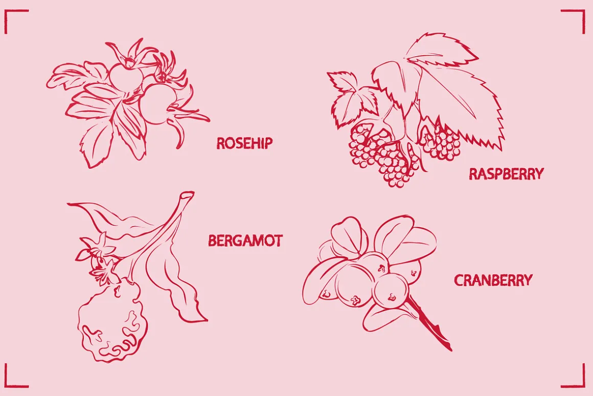 HERBAL TEA (30+ ILLUSTRATIONS)