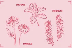 HERBAL TEA (30+ ILLUSTRATIONS)