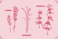 HERBAL TEA (30+ ILLUSTRATIONS)