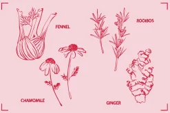HERBAL TEA (30+ ILLUSTRATIONS)