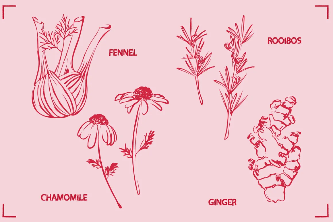 HERBAL TEA (30+ ILLUSTRATIONS)