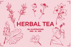 HERBAL TEA (30+ ILLUSTRATIONS)