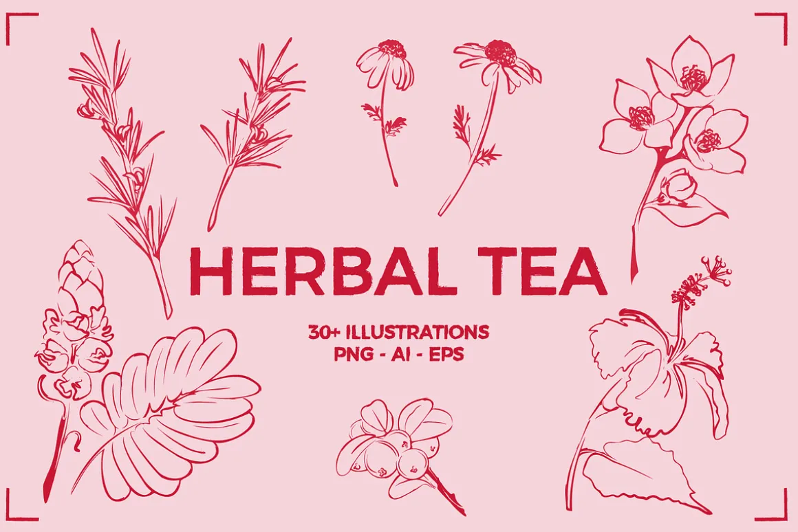HERBAL TEA (30+ ILLUSTRATIONS)