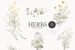 HERBS || Botanica & Glitter Effect