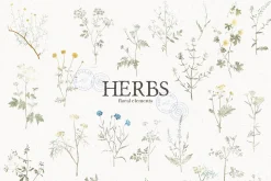 HERBS || Botanica & Glitter Effect