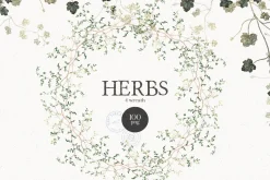 HERBS || Botanica & Glitter Effect