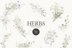 HERBS || Botanica & Glitter Effect