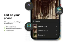 20 Historic Lightroom Presets & LUTs