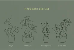 Home Plant Lover