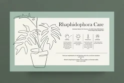 Home Plant Lover