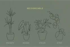 Home Plant Lover