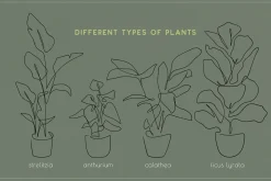 Home Plant Lover