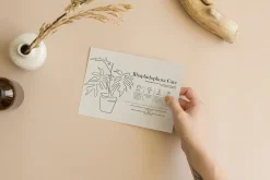 Home Plant Lover