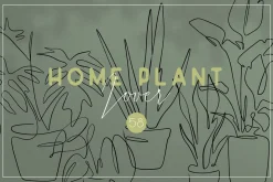 Home Plant Lover