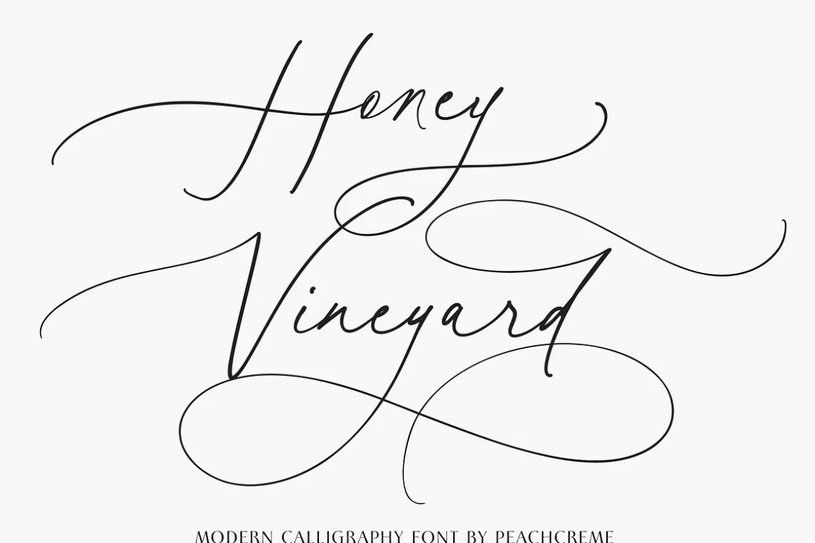 Honey Vineyard // Modern Calligraphy