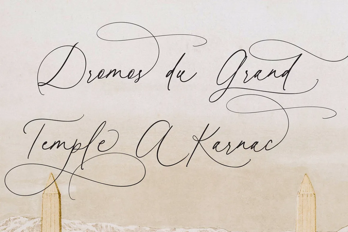 Honey Vineyard // Modern Calligraphy