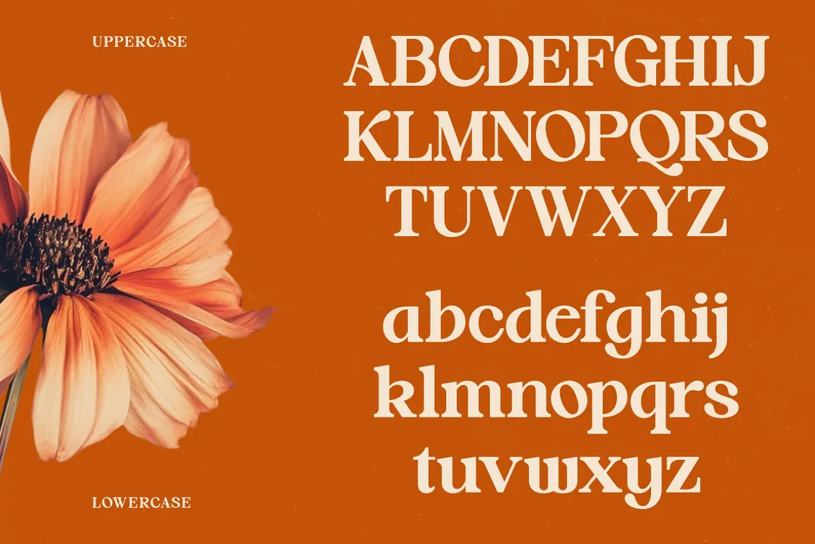 Hot Caramel Bold Serif Display