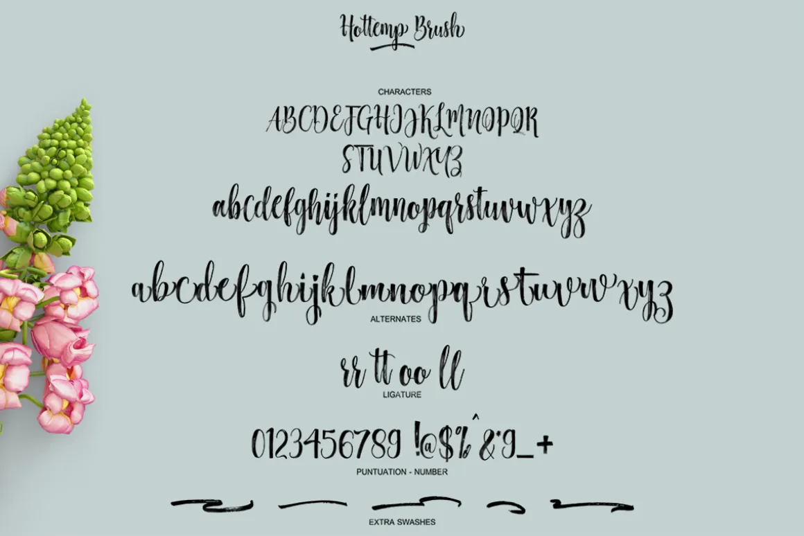Hottemp Brush - Font Duo