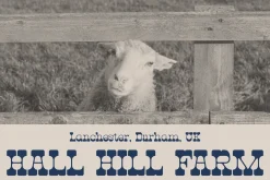 Hunting Ground | Western Slab Serif