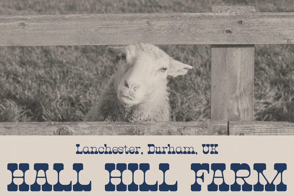 Hunting Ground | Western Slab Serif