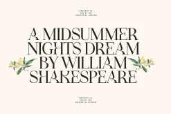 Idealist Serif