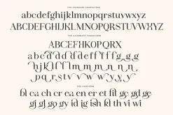 Idealist Serif