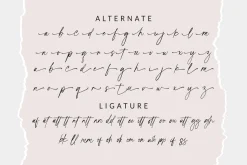 Ideas Script Font