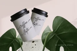 Ideas Script Font