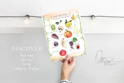 Illustrated Recipes Creator