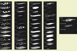 Illustration Procreate Brushes