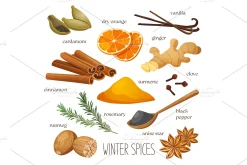 Illustration of winter spices