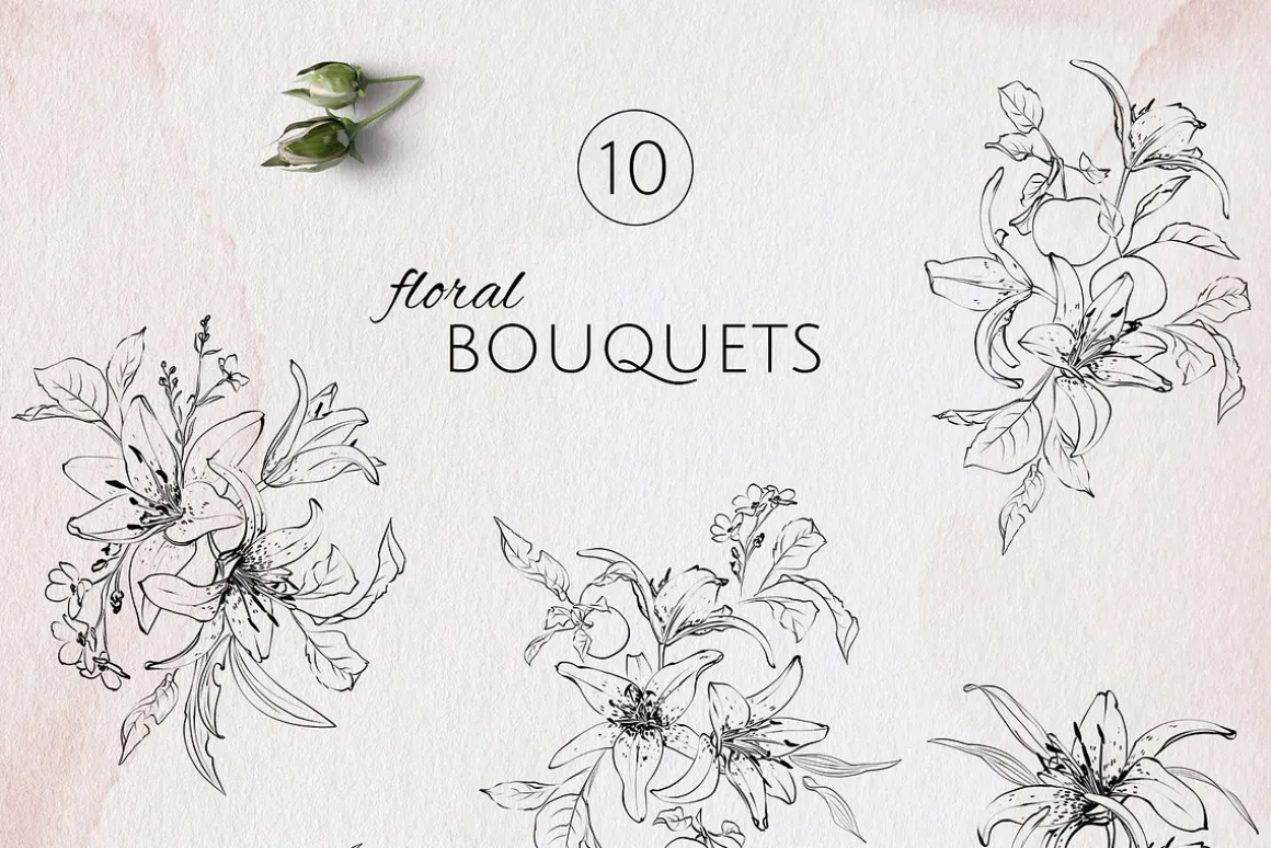 IN MY GARDEN line art florals