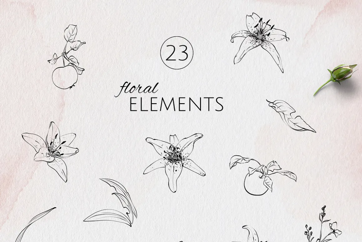 IN MY GARDEN line art florals