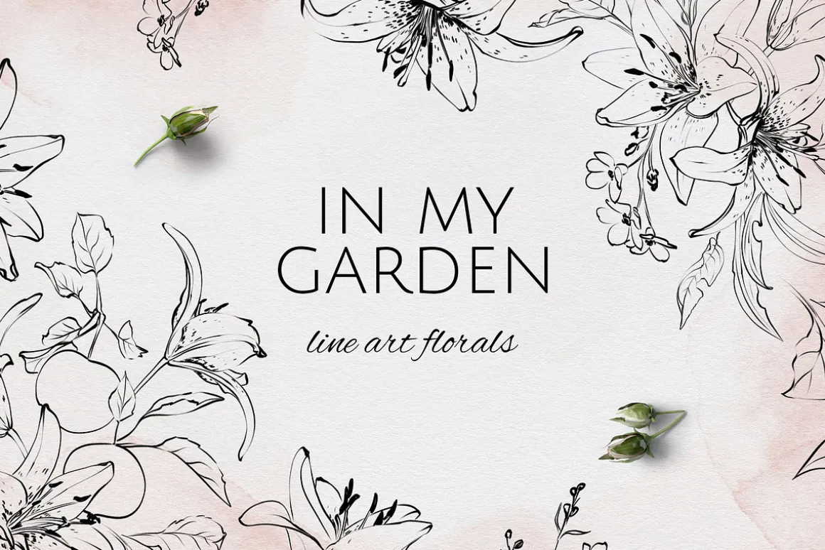 IN MY GARDEN line art florals