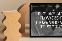3 in 1 - Canva Magazine/eBook BUNDLE