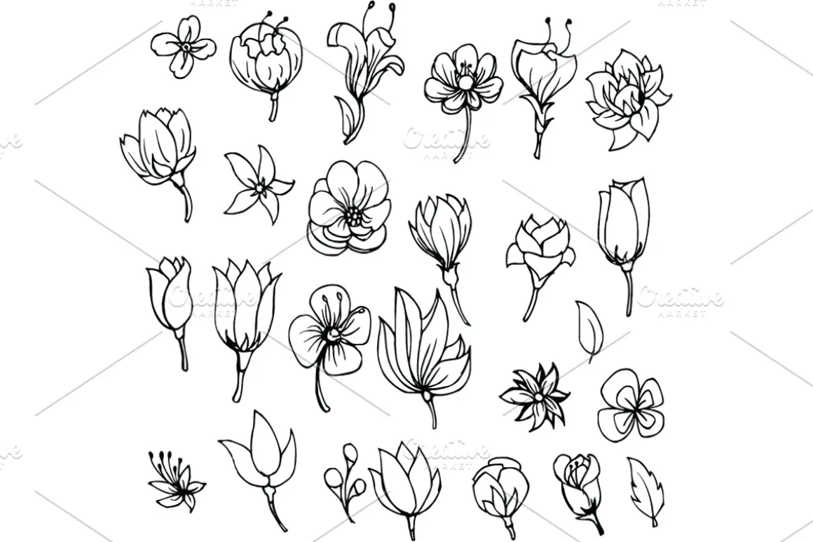 15151 in 1 Doodle Giant bundle