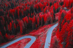 454 Infrared Fantasy Pro LUTs