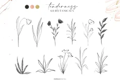 Ink Floral Illustrations Abstract