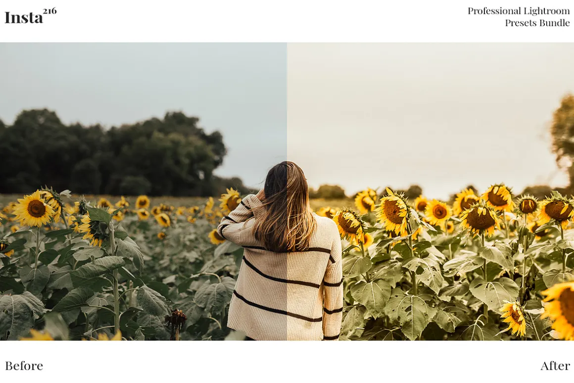 216 Insta Presets Lightroom Bundle