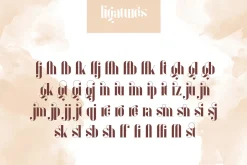 Inure - Serif Typeface + More