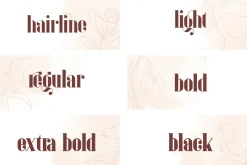 Inure - Serif Typeface + More